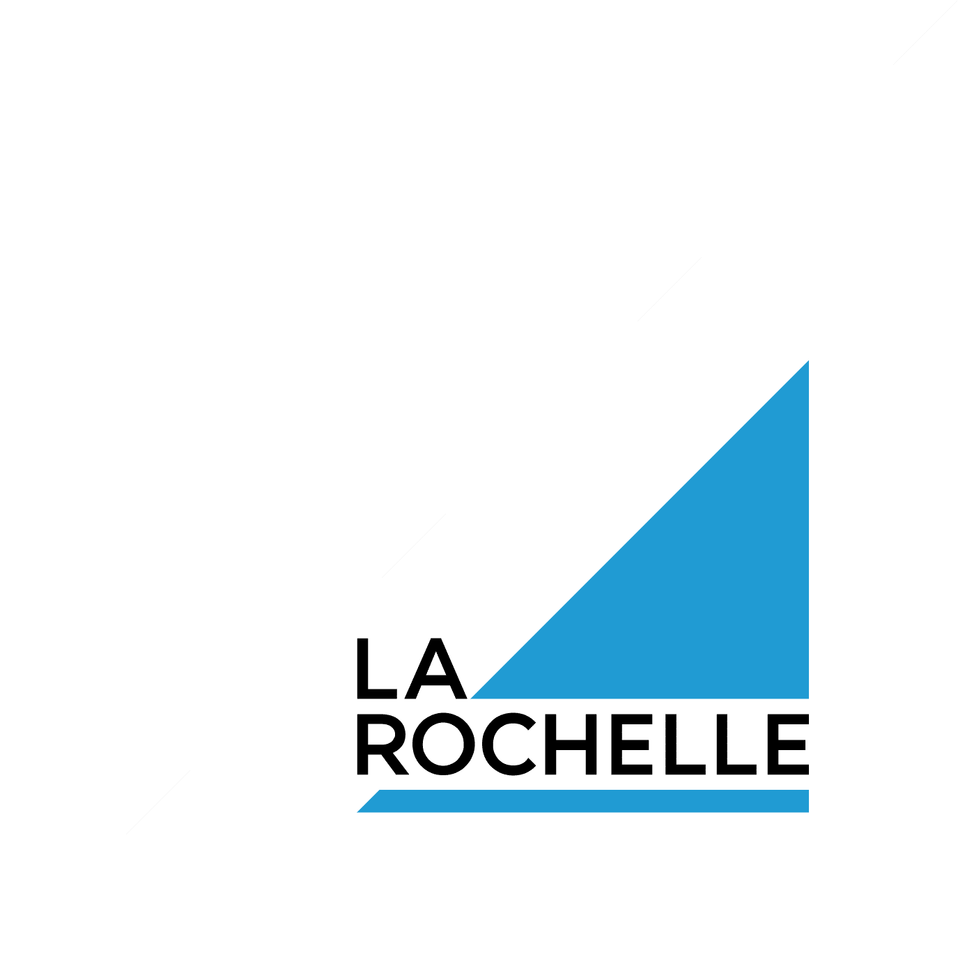 LR-Logo.png