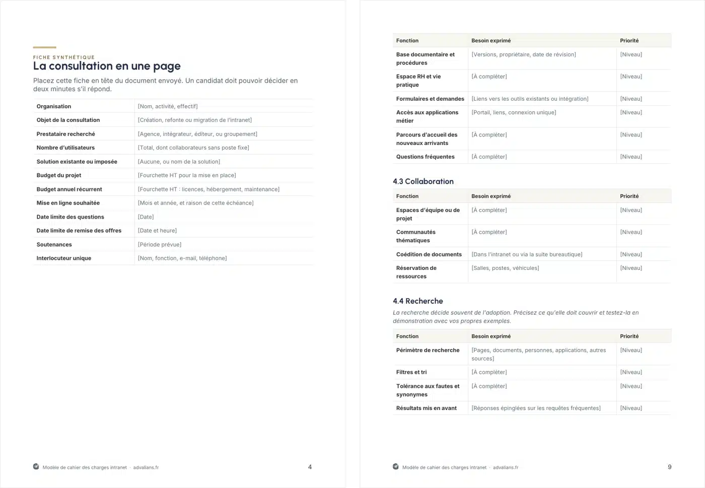 Deux pages du modèle : la fiche synthétique de la consultation et le périmètre fonctionnel, avec des fonctions classées par priorité